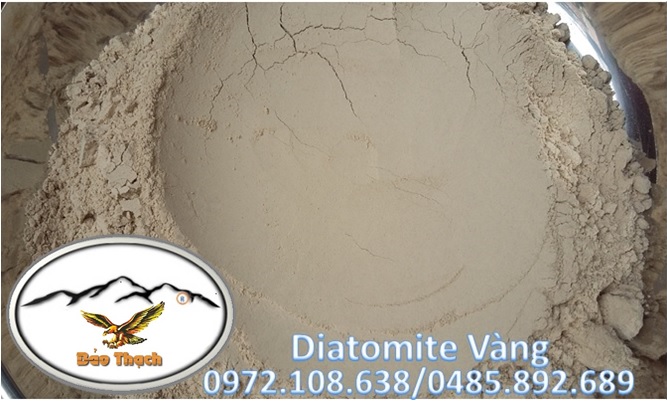 Diatomite